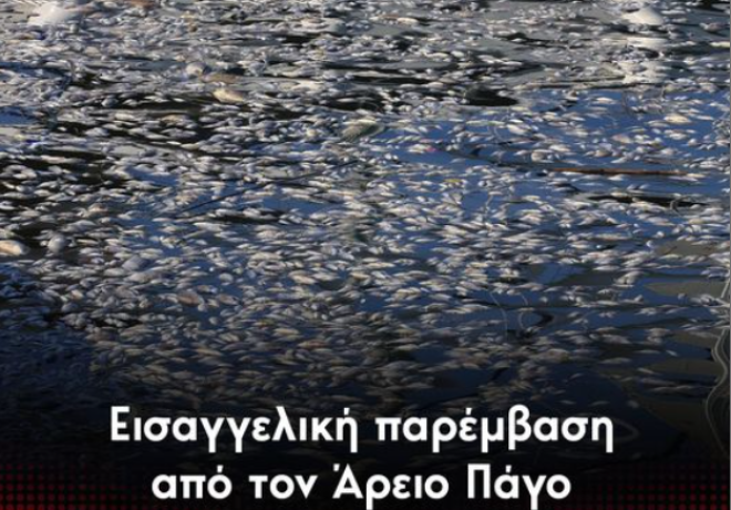 Εισαγγελική παρέμβαση από τον Άρειο Πάγο για τα νεκρά ψάρια στον Βόλο